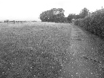 Flatts Lane